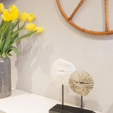 Spanish Steps Mini-loft *